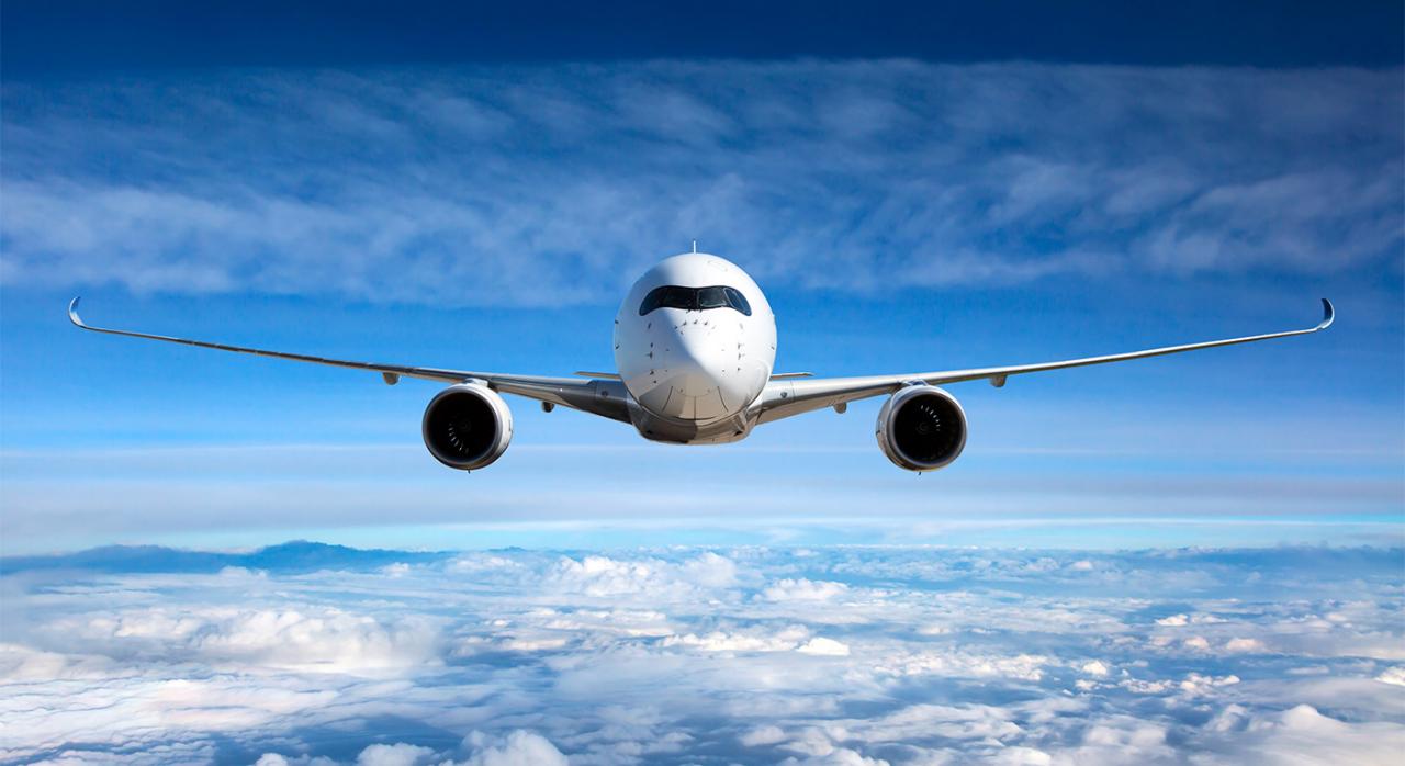 Acción colectiva de nulidad de cláusulas abusivas en contratos de transporte aéreo de pasajeros